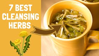 7 Strong Herbs For Natural Body Detox amp Cleanse Perfect for Tea [upl. by Nadnarb381]