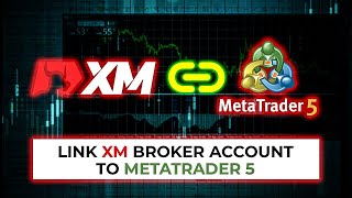 How to Link XM Broker Account to MetaTrader 5  StepbyStep Guide [upl. by January507]