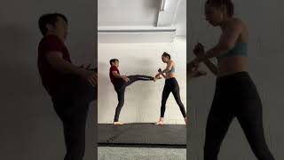 Roundhouse kicks variations training [upl. by Nesyt]