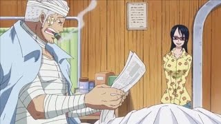 Smokey Learns About Luffy and Laws Victory  One Piece 736 [upl. by Veleda]