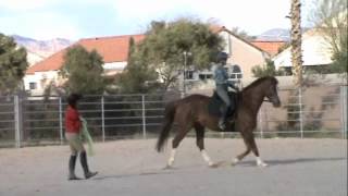 Regina Wendler  Callie Klein Riding Lesson in Las Vegas 2012 [upl. by Dotson961]