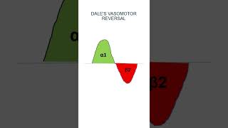 Dales Vasomotor ReversalDale’s phenomenonDale’s effectpharmacologyBiologyshortsviral [upl. by Merta]