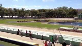 Naples fort Myers greyhound race [upl. by Assyral]