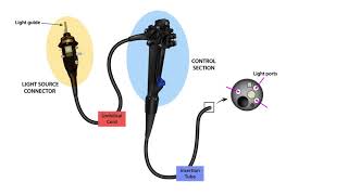 Endoscope Technology TheoryLesson 3Endoscope Parts [upl. by Nnylsoj543]