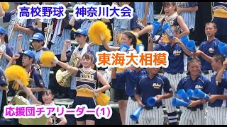 高校野球 神奈川大会 東海大相模高校 応援団チアリーダー1 cheerleader チアダンス [upl. by Casilda]