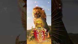 Jay maa meldi 🙏🏻 viralvideo music beats trending asmr [upl. by Ytteb]