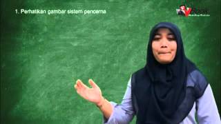 BIOLOGI 1 Sistem Pencernaan [upl. by Aylward]