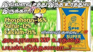 Super fertilizer in tamil  SSP உரத்தின் பயன்கள்  single super phosphate fertilizer  சூப்பர் ssp [upl. by Nuajed907]