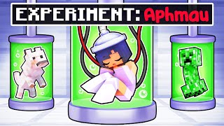 Who EXPERIMENTED on APHMAU in Minecraft [upl. by Attelra]