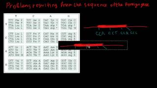 Expression of eukaryotic genes in prokaryotes bacteria [upl. by Nosreh]