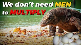 SelfSufficient Species Top 10 Animals That Multiply Without Mates [upl. by Aholla]