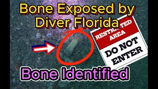 Breaking News  human bone  Diver discovery Part 2 of 2 [upl. by Veal840]