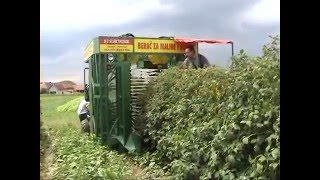 Kombajn za maline i kupine  Harvesting machine for raspberry and blackberry [upl. by Nirred937]