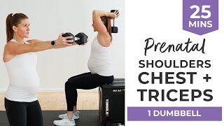 25Minute Prenatal Arm Workout Safe for ALL Trimesters of Pregnancy [upl. by Odraboel]