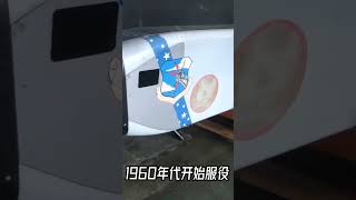 小身躯却有着大梦想，这只“鹌鹑”，到底想干什么？【科学火箭叔】 科普 文化 [upl. by Kalman31]