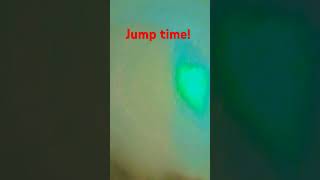 Jump time therian [upl. by Anyal]