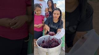 Açaí encofeitado😅 parte 03 video viralvideo youtubeshorts shorts short funny shortvideo [upl. by Nicolella]