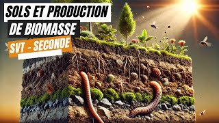 Sols et production de biomasse  SVT seconde [upl. by Dihsar]