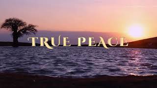 TRUE PEACE [upl. by Emmet]