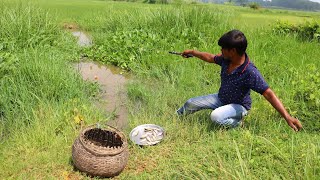 Fishing Video  Everyone can catch fish if they learn the village boys fishing technique [upl. by Templeton]