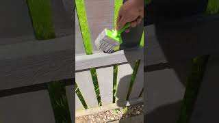 Getting the fence painted painting garden makeover [upl. by Naujyt]