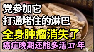 淋巴一旦堵住了，浑身都会长肿瘤！党参加它打通堵住的淋巴，全身肿瘤消失了，癌症晚期还能多活17年【本草养生大智慧】 [upl. by Antonie892]