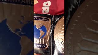 Autographed intercontinental championship wwe toys collectibles nice [upl. by Dlawso]