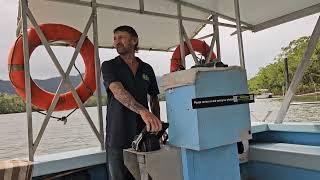 Daintree River Cruise [upl. by Mcripley688]