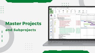 Master Project and Subprojects in Project Plan 365 [upl. by Arsi]