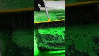 Carpet Washing ASMR asmr shorts [upl. by Neeven]