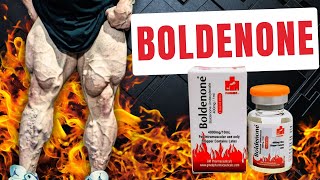 94  BOLDENONE [upl. by Aenneea]