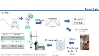 Polysaccharides of Pleurotus eryngii extraction purification and chemical characterization [upl. by Dacie]