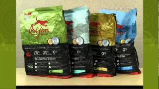 PetSolutions Orijen Dog Food [upl. by Nadbus809]