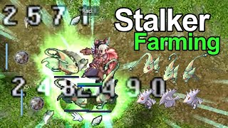 Ragnarok Classic GGT │ Stalker Farming │ Road to 100 M Zeny  EP17 [upl. by Aneet210]