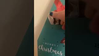 Advent calendar Adventskalender pawsitivevibes dachshundlove rescuedog christmas love music [upl. by Ominorej]