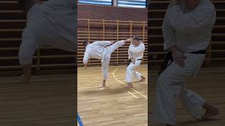 Spinning hook kick tips from my Norway 🇳🇴 Seminar karate shotokan martialarts kicks tips [upl. by Tfat]