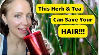 HORSETAIL TEA BENEFITS How This Herb and Tea Can Save Your Hair and so much more [upl. by Aihsoem168]