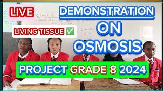 How To Demonstrate Osmosis In Living TissuesScience Grade 8 Project 2024 [upl. by Phippen588]