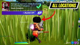 Damage an opponent within 45 seconds of crouching in tall grass Fortnite Locations [upl. by Eiramnerual]