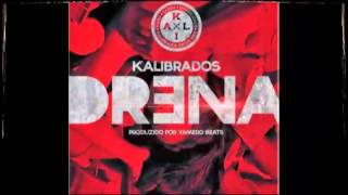 Kalibrados  Drena Audio [upl. by Aeneus]