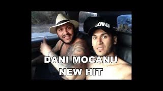 Dani Mocanu  Sefa sefelor  Official Audio [upl. by Laerdna]