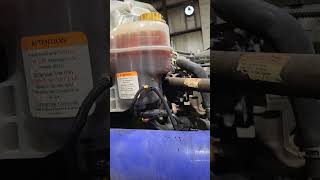 2022 freightliner cascadia coolant level sensor failed [upl. by Rodgers372]