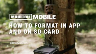 How to Format SD Cards in App and On Your Moultrie Mobile Camera [upl. by Ileane]