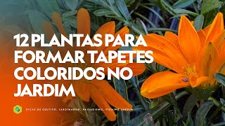 12 PLANTAS para formar TAPETES COLORIDOS no JARDIM [upl. by Aihsiym]