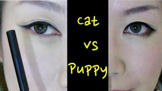 Basics Cat Eyes v Puppy Eyes [upl. by Guinna932]