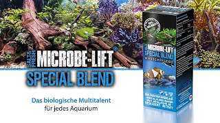 DER Weg für dein perfektes Aquarium  𝗠𝗜𝗖𝗥𝗢𝗕𝗘𝗟𝗜𝗙𝗧 𝗦𝗽𝗲𝗰𝗶𝗮𝗹 𝗕𝗹𝗲𝗻𝗱  Bakterien  100 biologisch [upl. by Gotthelf]