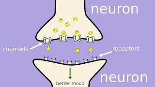 How does fluoxetine Prozac work [upl. by Gaves]