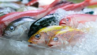 Fresh vs Frozen Fish 3 Tips for Buying Seafood [upl. by Tiffa]