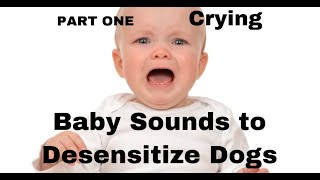 Baby Crying Sounds For Desensitizing Dogs [upl. by Baldwin352]