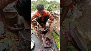 Wow Traditional Pangas Fish Cutting Skills In Expert Cutter 😳😱 Part 561 shorts [upl. by Rennat]